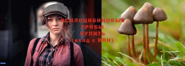 ешки Абдулино