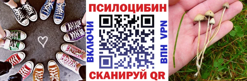 Галлюциногенные грибы Psilocybine cubensis  мега ссылка  Кумертау  закладка 