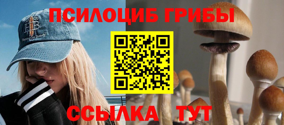 Галлюциногенные грибы мицелий  Вход с VPN  где купить наркотик  Кумертау 